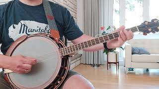 quotLilting Bansheequot jig on Irish tenor banjo [upl. by Casia]