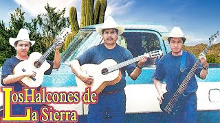 Dueto Los Halcones De La Sierra  Canciones Rancheras Exitos Album Completo [upl. by Intyre]