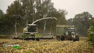 Lohnunternehmen Henke häckselt Mais für eine Biogasanlage in Niedersachsen HD [upl. by Tarah]