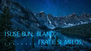 E noapte sfântă  karaoke  O holy night [upl. by Arlynne]