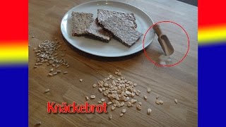 Knäckebrot selbst gemacht [upl. by Esorlatsyrc]