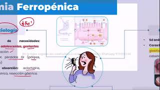 PRIMING USAMEDIC  Hematología [upl. by Pack]