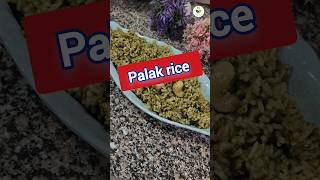 Palak rice  Spinach rice recipe shivkitchen shorts palakrice [upl. by Idona]