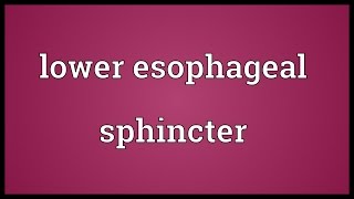 Lower esophageal sphincter Meaning [upl. by Anele]