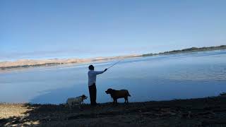 FISHING LIVE AT SAN LUIS RESERVOIR ONEILL FOREBAY LATE MORNING [upl. by Kahaleel]