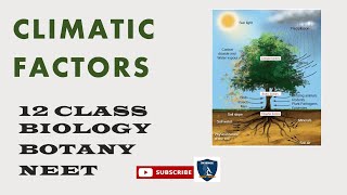 Climatic Factors I Principles of Ecology I Botany I Class 12  TNSCERTCBSE  NEET [upl. by Cheslie2]