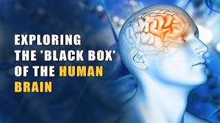 The black box of the human brain is finally opening [upl. by Rivard]