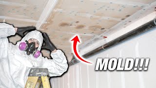 How To Remove and KILL Mold Permanently The RIGHT Way On Walls amp Ceilings DON’T TAKE SHORTCUTS DIY [upl. by Otilegna110]