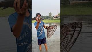 Real Amazing Big Fishing By Polo  Amazing Big Fishing Hunting By Traditional polo Trap fishing [upl. by Utimer821]