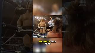 Why is Brutus Beefcake at Ringside A Distraction Debate BrutusTheBarber Beefcake [upl. by Yentihw473]