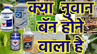 Nuvan InsecticideDichlorvas 76 ecInsecticide India Private Limited [upl. by Missy]