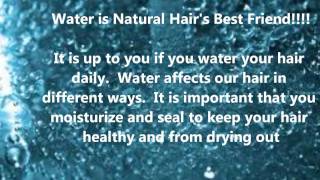 Is it Necessary To Wet Natural Hair Daily [upl. by Karlee]