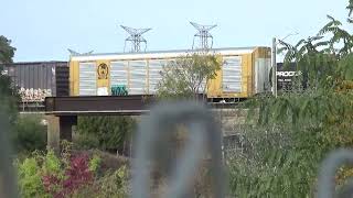 CN freight at Islington amp Steeles [upl. by Atteragram]