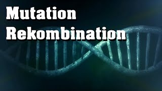 Evolution Mutation Rekombination genetische Variabilität [upl. by Imtiaz252]