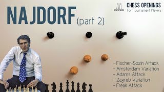 The Najdorf part 2 ⎸Sicilian Defense Theory [upl. by Llemmart]