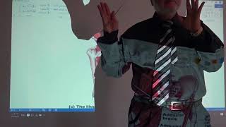 Anatomy of lower limb 12  Muscles of medial aspect of the thigh  part 1   by Dr Wahdan [upl. by Monafo]