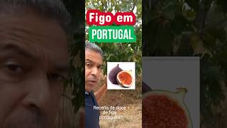 Figo em PortugalDoce vidaemportugal music anime phonk remix genshinimpact europa noticias [upl. by Aeet]