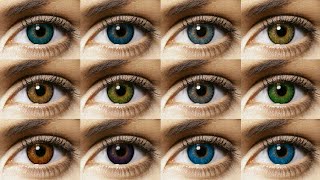 Freshlook Colorblends All 12 Colors Contact Lens Review [upl. by Ranna79]