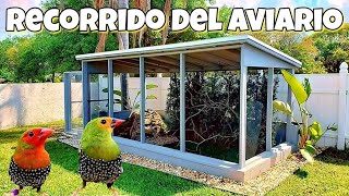 Aviario de Pajaros  Aves Exoticas   Voladero Natural [upl. by Ley]