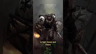 Space Marine Chapter The Black Templars spacemarines warhammer40k lore [upl. by Sundstrom9]