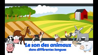 Onomatopées  Le son des animaux dans différentes langues [upl. by Ginsburg956]