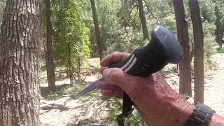 Black Rattlesnake Encounter Mogollon Rim Arizona [upl. by Anaic]