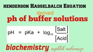 pH of Buffer solutions  Henderson Hasselbalch Equation [upl. by Thorne853]