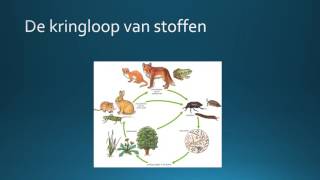 Inleiding in de ecologie [upl. by Kornher]