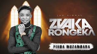 Jah Signal Pinda Muzambara Zvakarongeka Album [upl. by Hatty]