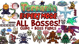 Terraria All Bosses In Order Expert Mode Guide amp Fights Easiest to Hardest How to Spawn Them [upl. by Rosina294]