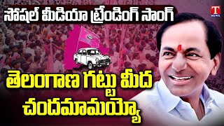 Telangana Gattu Meeda Chandamamayyo Social Media Trending Song  BRS Songs  CM KCR Songs  T News [upl. by Licha]