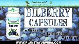 Bilberry Capsules Medicinal Uses Health Benefits and Side effects [upl. by Camala]