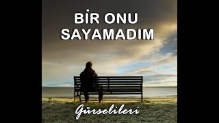 Gürsel İleri  Bir Onu Sayamadım [upl. by Tsiuqram405]