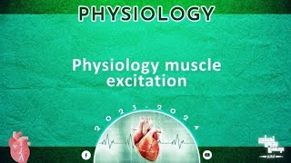 L3 Muscle excitation contraction coupling Physiology [upl. by Bein]