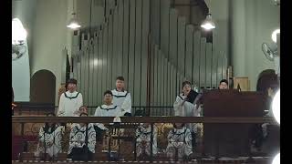 Confitebor tibi Domine  C Monteverdi Sop 김해선 [upl. by Ednalrim501]