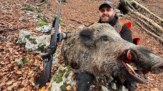 Tir d’un sanglier de 76 kilo dans les montagne du 06 action magnifique 🤩 💥🐗🐕 [upl. by Stonwin346]