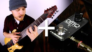 8 String  Loop Pedal [upl. by Edvard]