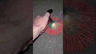 Crackling Firecracker circle Wood Crackers🧨💥 vuurwerk fireworks firecraker crackling short [upl. by Corneille461]