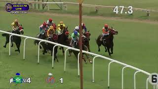 RAAZ wins The Nanjangud Plate [upl. by Vick923]