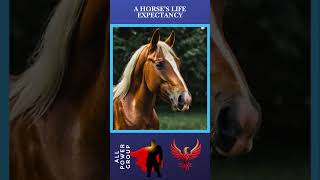 The SHOCKING Truth About Horse Lifespans in 2024 [upl. by Aicelet882]