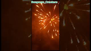 Sonny golden spider shorts trending skyshot fireworks sonyfireworks meredholnasun bb3 song [upl. by Naivat]