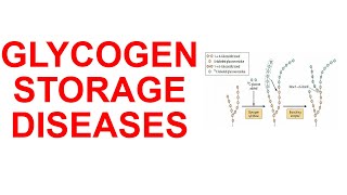 Glycogen Storage Diseases [upl. by Arutnev]