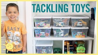 ORGANIZE  Tackling the Toys [upl. by Rokach275]