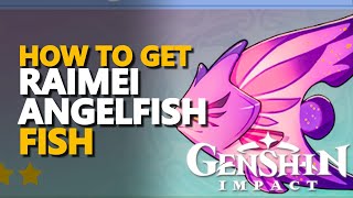 Raimei Angelfish Genshin Impact [upl. by Kcirret]