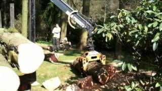 Tree Clearing amp Timber Extraction [upl. by Aicela]