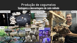 Produção de cogumelos em toras sacos pretos baldes ou blocos Vantagens e desvantagens de cada [upl. by Friedberg]