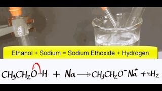 Alcohols Advanced 7 Ethanol reacting with Sodium [upl. by Osnerol]