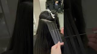 Hair Highlights Sectioning [upl. by Couture65]