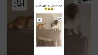 ما في رحمه 😂🤡☠️ اكسبلور ضحك ميمزضحك ميمز memes عائلة الأخوة viralvideo fypyoutube [upl. by Orual]