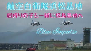 居残りだったブルーインパルスも無事松島基地へ👋航空自衛隊浜松基地 ブルーインパルス [upl. by Ettenoitna]